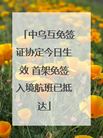 中乌互免签证协定今日生效 首架免签入境航班已抵达