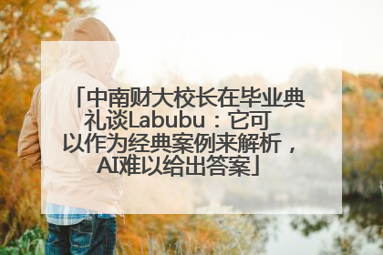 中南财大校长在毕业典礼谈Labubu：它可以作为经典案例来解析，AI难以给出答案