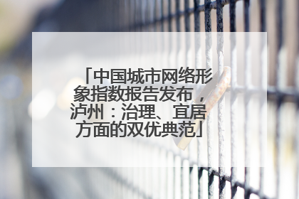 中国城市网络形象指数报告发布，泸州：治理、宜居方面的双优典范