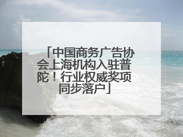 中国商务广告协会上海机构入驻普陀！行业权威奖项同步落户