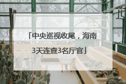 中央巡视收尾，海南3天连查3名厅官