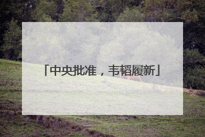 中央批准，韦韬履新