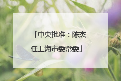 中央批准：陈杰任上海市委常委