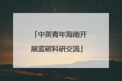 中英青年海南开展蓝碳科研交流