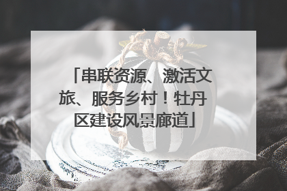 串联资源、激活文旅、服务乡村！牡丹区建设风景廊道