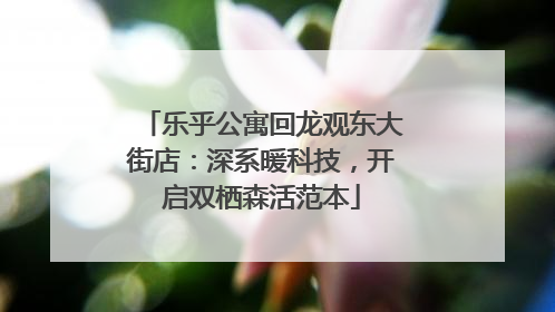 乐乎公寓回龙观东大街店：深系暖科技，开启双栖森活范本
