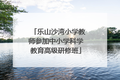 乐山沙湾小学教师参加中小学科学教育高级研修班