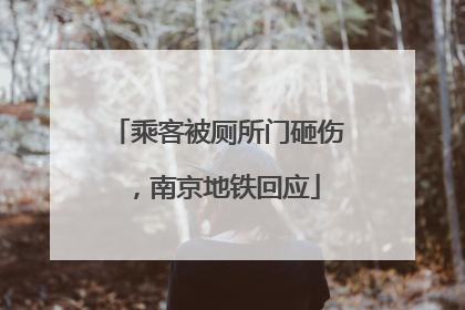 乘客被厕所门砸伤，南京地铁回应