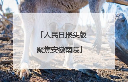 人民日报头版聚焦安徽南陵