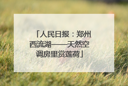 人民日报：郑州西流湖——天然空调房里赏莲荷