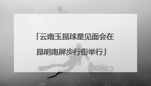 云南玉昆球星见面会在昆明南屏步行街举行