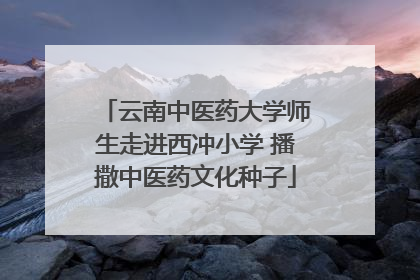 云南中医药大学师生走进西冲小学 播撒中医药文化种子