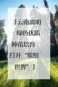 云南嵩明：绿色优质种苗培育 打开“缤纷世界”