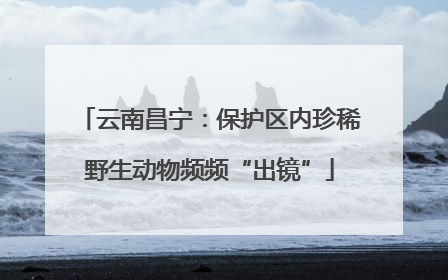 云南昌宁：保护区内珍稀野生动物频频“出镜”