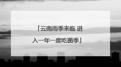 云南雨季来临 进入一年一度吃菌季