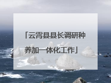 云霄县县长调研种养加一体化工作