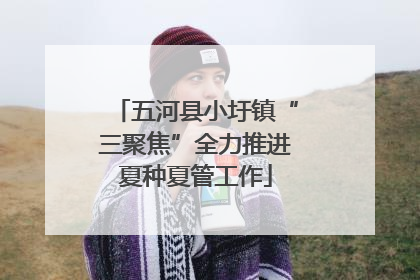 五河县小圩镇“三聚焦”全力推进夏种夏管工作