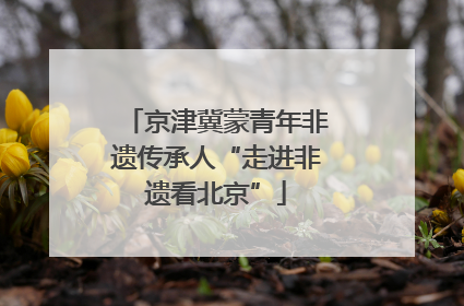 京津冀蒙青年非遗传承人“走进非遗看北京”