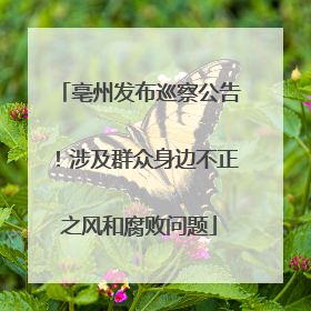亳州发布巡察公告！涉及群众身边不正之风和腐败问题