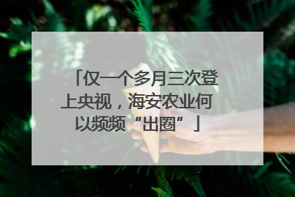 仅一个多月三次登上央视，海安农业何以频频“出圈”