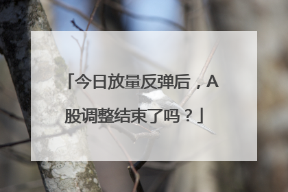 今日放量反弹后，A股调整结束了吗？