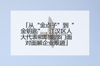 从“金点子”到“金钥匙”，江汉区人大代表和职能部门面对面解企业难题