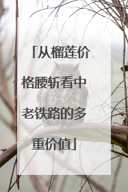 从榴莲价格腰斩看中老铁路的多重价值