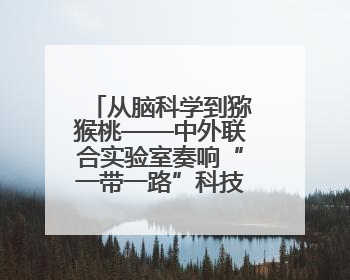 从脑科学到猕猴桃——中外联合实验室奏响“一带一路”科技合作交响曲