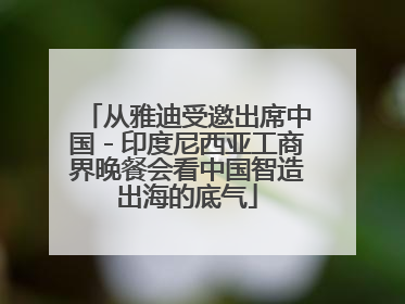 从雅迪受邀出席中国－印度尼西亚工商界晚餐会看中国智造出海的底气