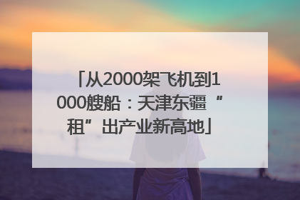 从2000架飞机到1000艘船：天津东疆“租”出产业新高地