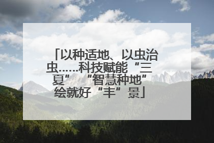 以种适地、以虫治虫……科技赋能“三夏” “智慧种地”绘就好“丰”景