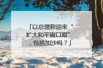 以总理称迎来“扩大和平窗口期”，包括加沙吗？