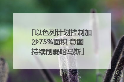 以色列计划控制加沙75%面积 意图持续削弱哈马斯