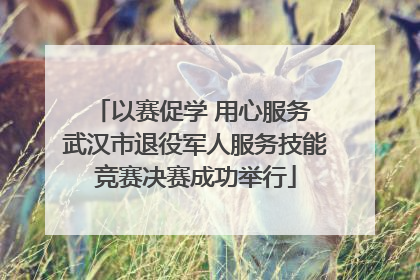 以赛促学 用心服务 武汉市退役军人服务技能竞赛决赛成功举行