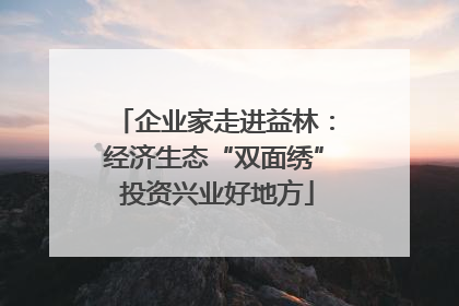 企业家走进益林：经济生态“双面绣” 投资兴业好地方