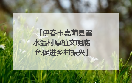 伊春市嘉荫县雪水温村厚植文明底色促进乡村振兴