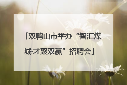 双鸭山市举办“智汇煤城·才聚双赢”招聘会