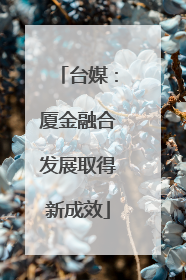 台媒：厦金融合发展取得新成效