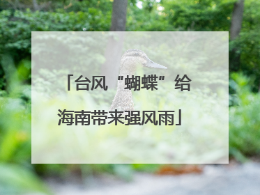 台风“蝴蝶”给海南带来强风雨