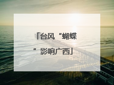 台风“蝴蝶”影响广西