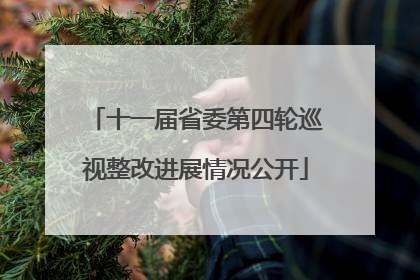 十一届省委第四轮巡视整改进展情况公开
