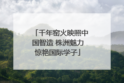 千年窑火映照中国智造 株洲魅力惊艳国际学子