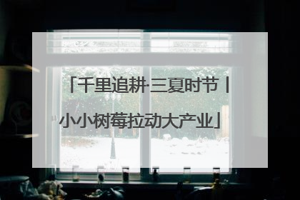 千里追耕·三夏时节丨小小树莓拉动大产业