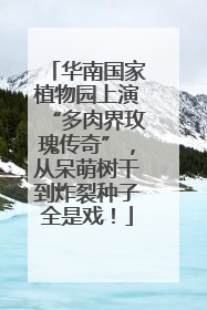 华南国家植物园上演“多肉界玫瑰传奇”，从呆萌树干到炸裂种子全是戏！