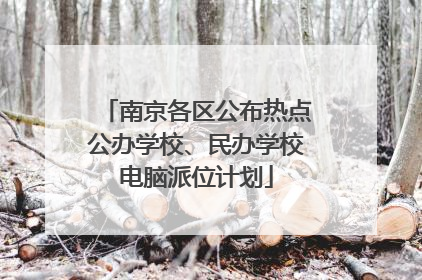 南京各区公布热点公办学校、民办学校电脑派位计划