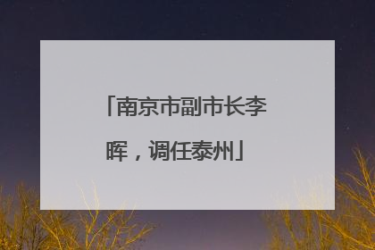 南京市副市长李晖，调任泰州