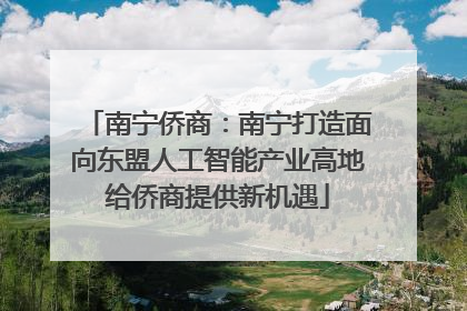 南宁侨商：南宁打造面向东盟人工智能产业高地给侨商提供新机遇