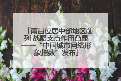南昌位居中部地区前列 战略支点作用凸显——“中国城市网络形象指数”发布