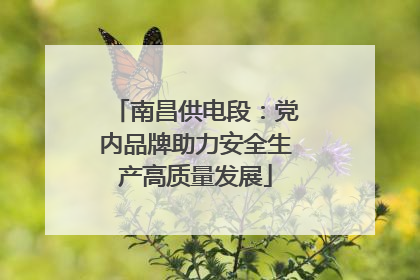 南昌供电段：党内品牌助力安全生产高质量发展
