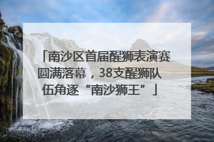 南沙区首届醒狮表演赛圆满落幕，38支醒狮队伍角逐“南沙狮王”